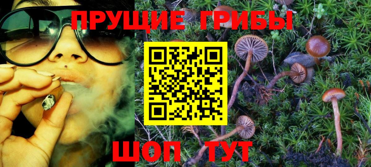 Псилоцибиновые грибы Psilocybe  Вход с VPN  закладка  Советский 